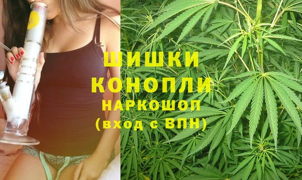 индика Балахна